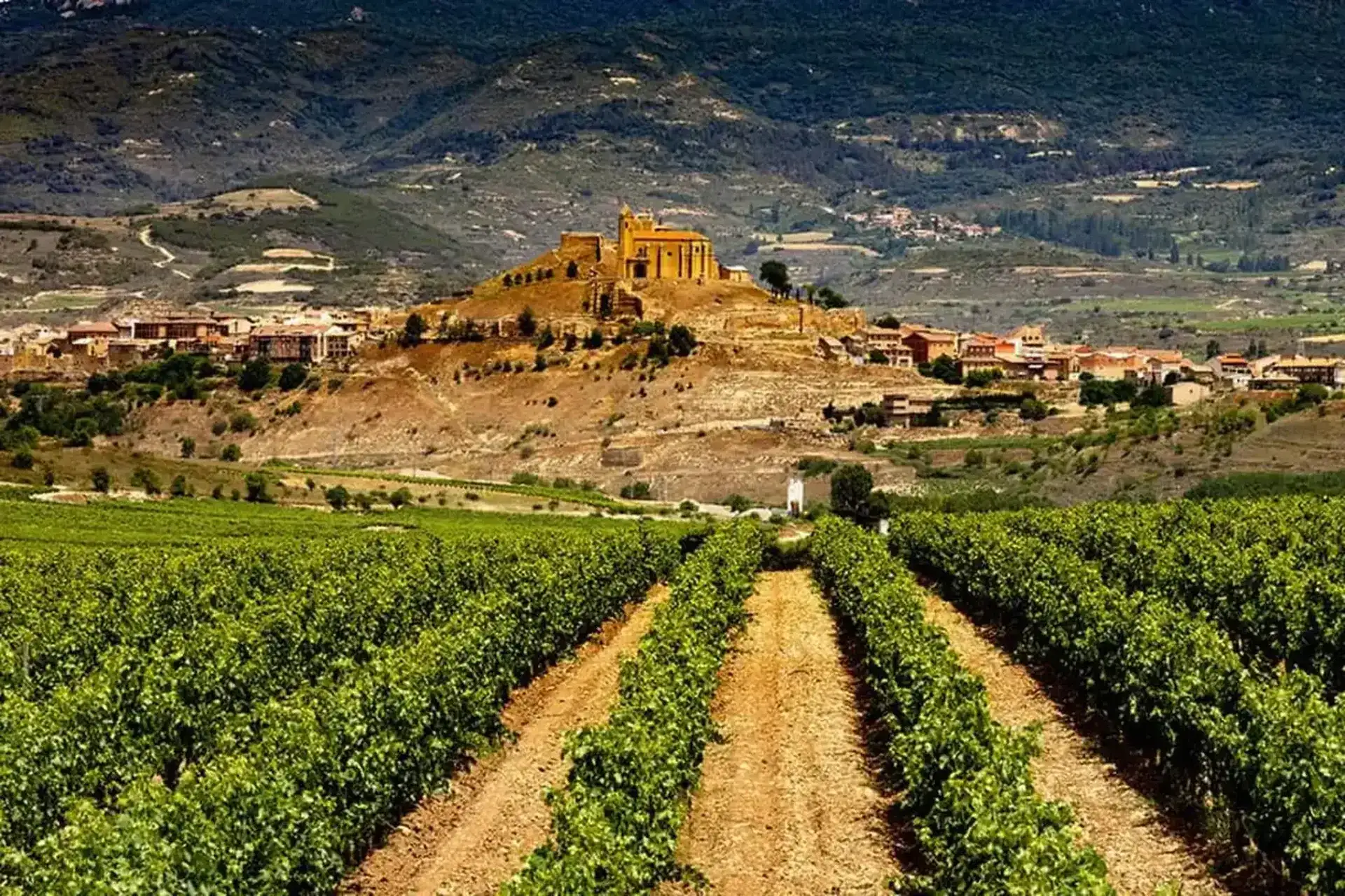 Vista de La Rioja, España